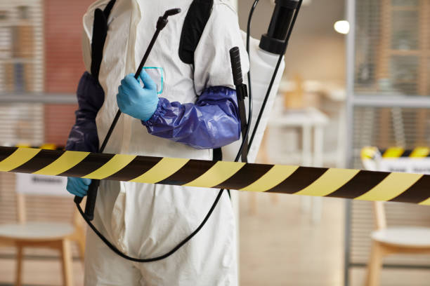 Professional Sewage Cleanup technician working in Ocean Grove, MA